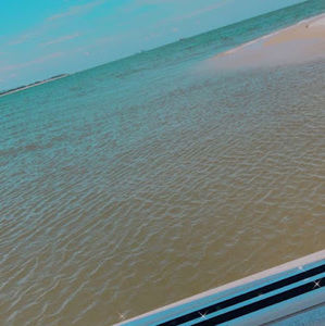 Meet your Posher, Gracie